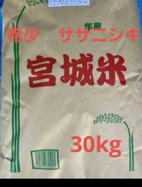 宮城県産 ササニシキ 玄米 30kg 令和6年産
