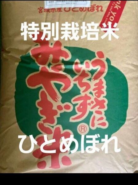 宮城県産 ひとめぼれ 特別栽培米 玄米 30kg 令和6年産 全国送料無料