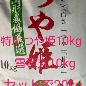 特A ランク 山形県 つや姫 10kg 雪若丸 10kg セットで20kg 玄米 冷蔵保管 令和6年産 全国送料無料
