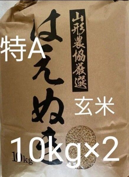 特A はえぬき 20kg (10kg×2) 山形県産 令和6年産 玄米