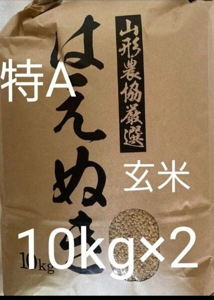 山形県産 はえぬき 玄米 20kg (10kg×2) 令和6年産 低温貯蔵庫