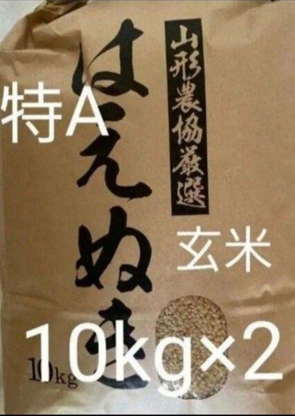 特A はえぬき 20kg 10kg×2袋 玄米 山形県令和6年産 全国送料無料