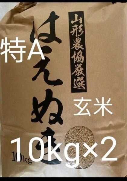 はえぬき 20kg (10kg×2) 山形県産 令和6年産 玄米 特A