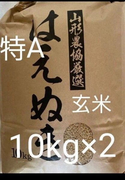 特A 山形県産 はえぬき 玄米 20kg(10kg×2) 令和6年産