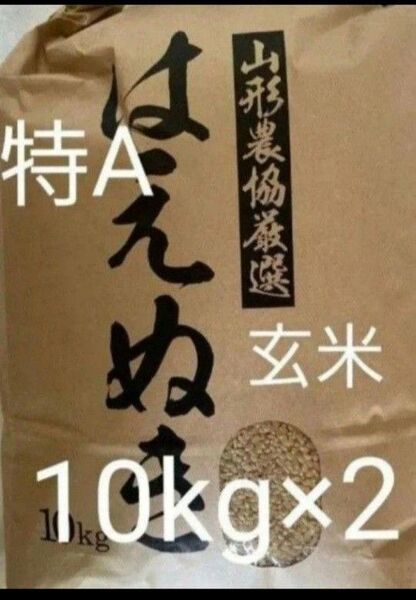 特A はえぬき 20kg 10kg×2袋 玄米 山形県令和6年産 全国送料無料