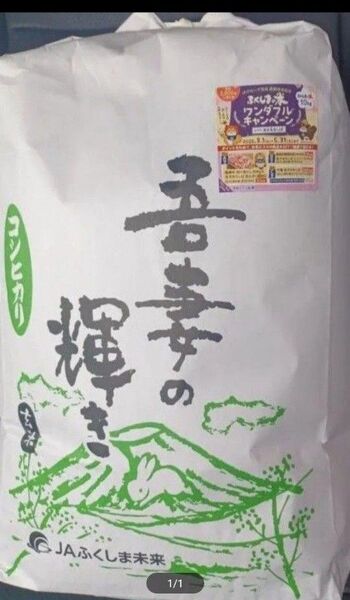 福島県産 コシヒカリ 玄米 10kg 令和6年産 全国送料無料