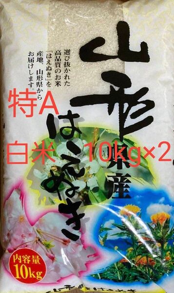特A 山形県産 はえぬき 20kg 白米 令和6年産 令和7年4月30日精米