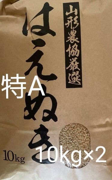 特A はえぬき 20kg (10kg×2) 山形県産 令和6年産 玄米