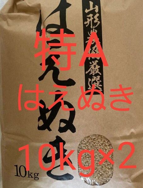 特A はえぬき 玄米 20kg (10kg×2) 山形県産 令和6年産