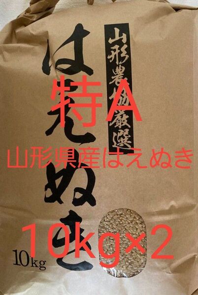 特A はえぬき 20kg (10kg×2) 山形県産 令和6年産