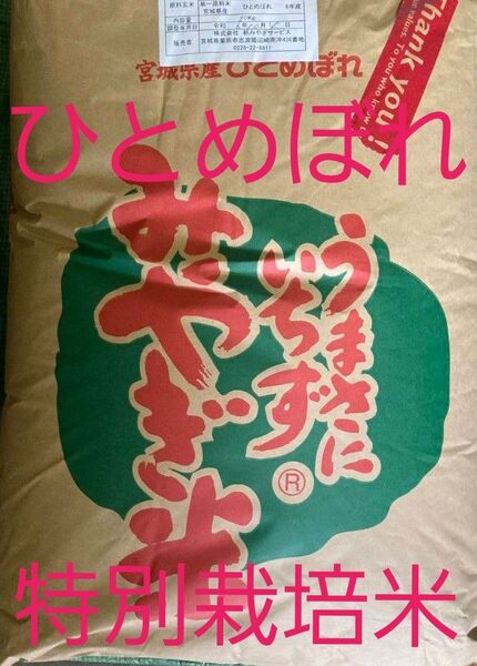 宮城県産 ひとめぼれ 特別栽培米 玄米 30kg 令和6年産 全国送料無料