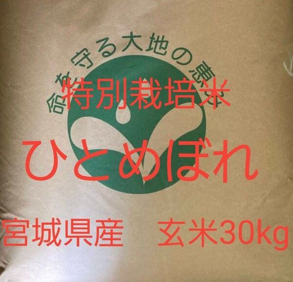 宮城県角田市産 ひとめぼれ 玄米 特別栽培米 30kg 令和6年産