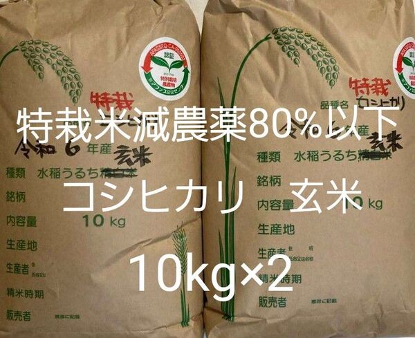 特別栽培米 減農薬80%以下 コシヒカリ 玄米 20kg (10kg×2) 福島県産 令和6年産