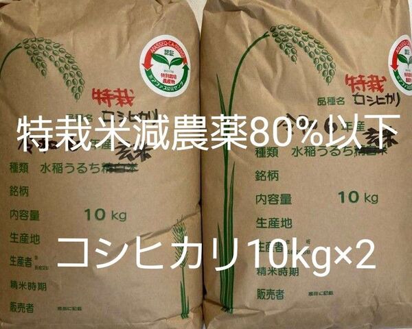 特別栽培米 減農薬80%以下 コシヒカリ 玄米 20kg (10kg×2) 福島県産 令和6年産