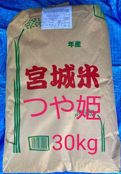宮城県産 つや姫 玄米 30kg 令和6年産
