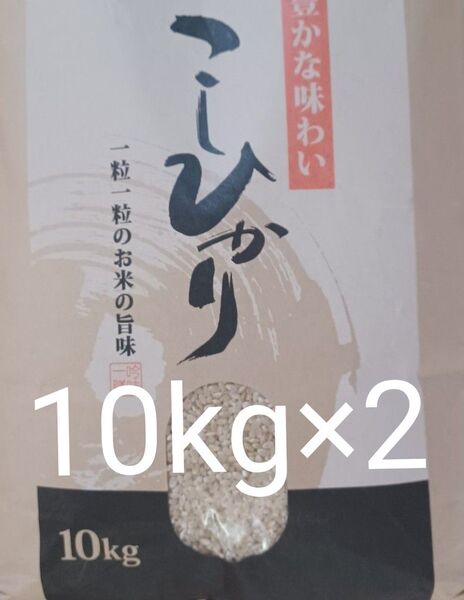 会津産 コシヒカリ 玄米 20kg (10kg×2) 令和6年産