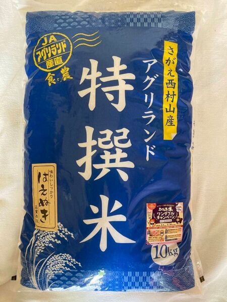山形県産 はえぬき 特撰米 10kg 白米 令和6年産 送料無料