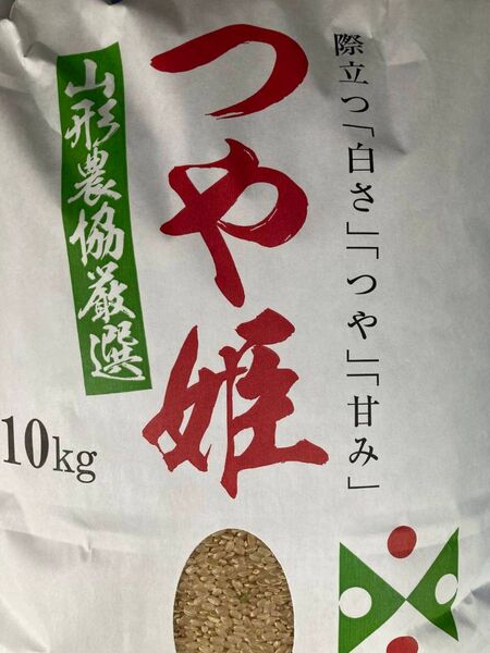 特A ランク 山形県 つや姫 10kg 雪若丸 10kg セットで20kg 玄米 令和6年産 送料無料