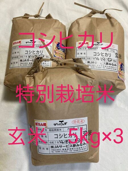 福島県産 コシヒカリ 特別栽培米 玄米 15kg (5kg×3) 令和6年産 送料無料