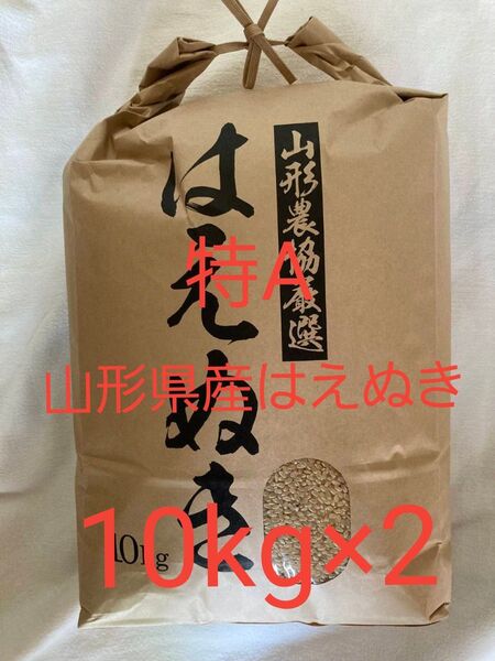 特A はえぬき 20kg (10kg×2) 玄米 山形県産 令和6年産