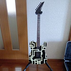 FERNANDES TE-95HT&HARDCASE
