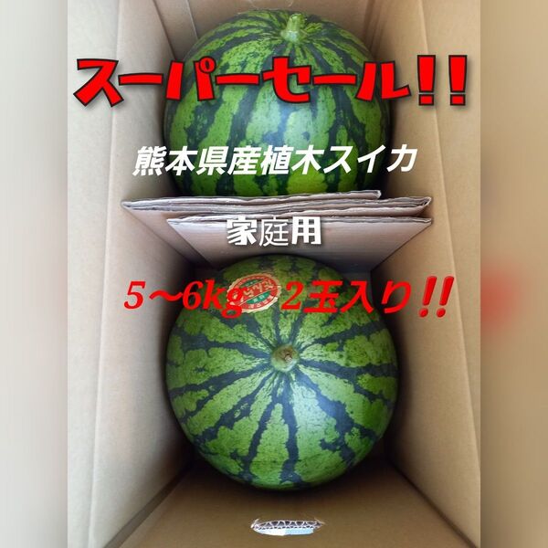 熊本県産植木スイカ 3箱限定 2玉入り(1玉5kg以上)