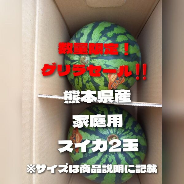 お得!?熊本県産植木スイカ 家庭用2玉入り(1玉???kg以上)