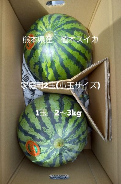 熊本県産植木スイカ 家庭用2玉入り(1玉2kg以上)