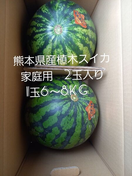 熊本県産植木スイカ 2玉入り(1玉6kg以上)