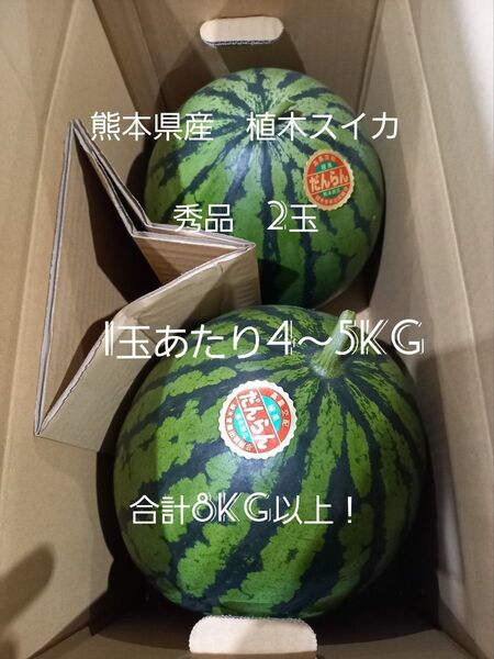 熊本県産植木スイカ 秀品2玉入り(1玉4kg以上)
