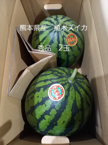 熊本県産植木スイカ 秀品2玉入り(1玉5kg以上)