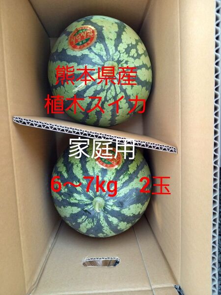 熊本県産植木スイカ 2玉入り(1玉6kg以上)