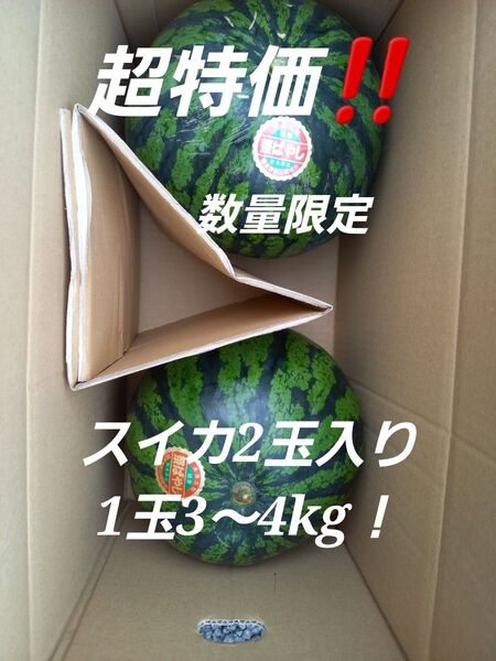 熊本県産植木スイカ 家庭用2玉入り(1玉3kg以上)
