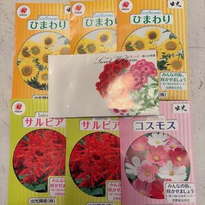 【7個セット】花の種 ひまわり サルビア コスモス サカタのタネ 東京優芳園