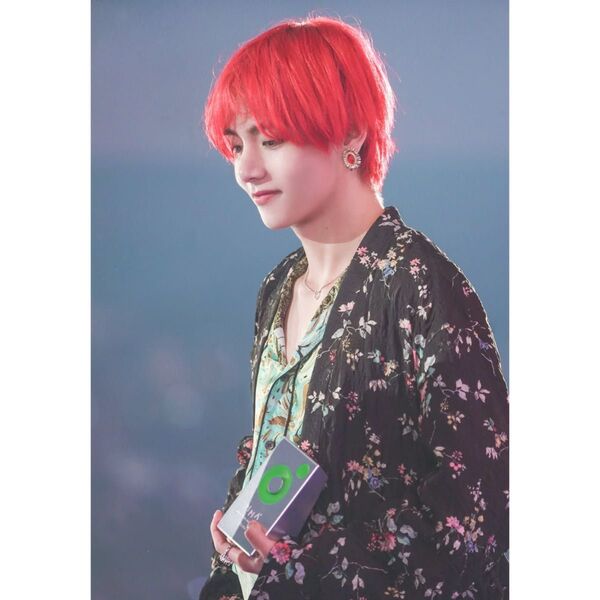 BTS テテ L判フォト No.89