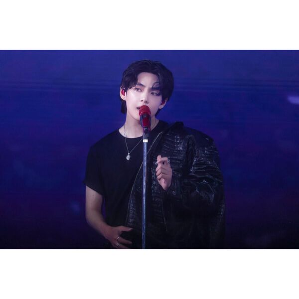 BTS テテ L判フォト No.93