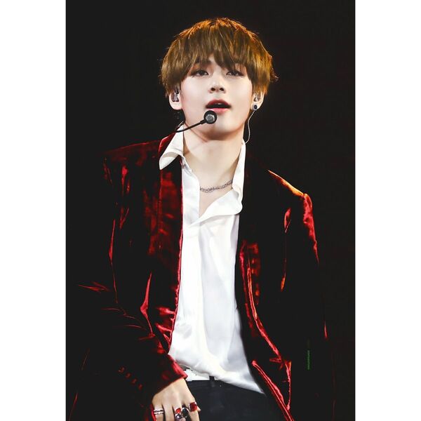 BTS テテ L判フォト No.94