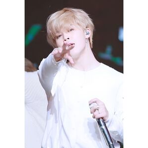 BTS ジミン L判フォト No.97
