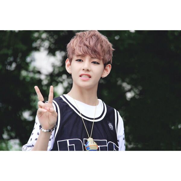 BTS テテ L判フォト No.121