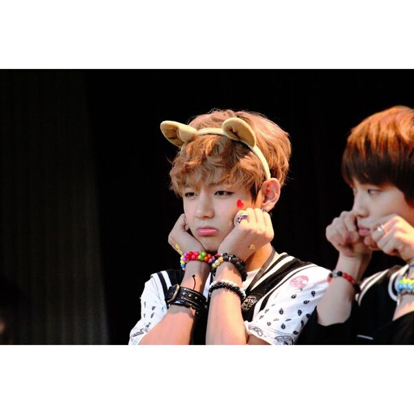 BTS テテ L判フォト No.122