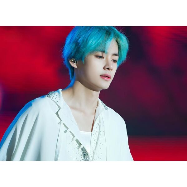 BTS テテ L判フォト No.124