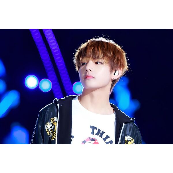 BTS テテ L判フォト No.199