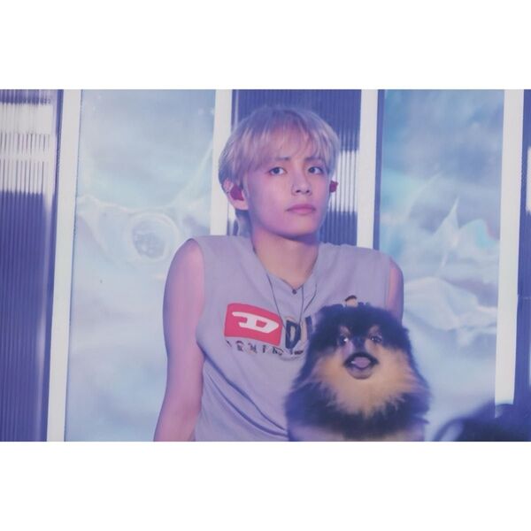 BTS テテ L判フォト No.40