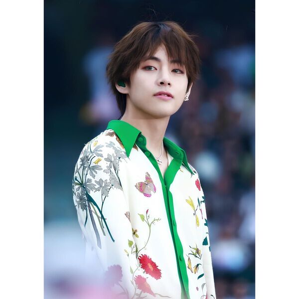 BTS テテ L判フォト No.56