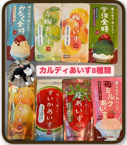 カルディあいす いろいろ8種類セット みかん すいか 苺 いちごミルク ミルク金時 宇治金時 梅 青梅