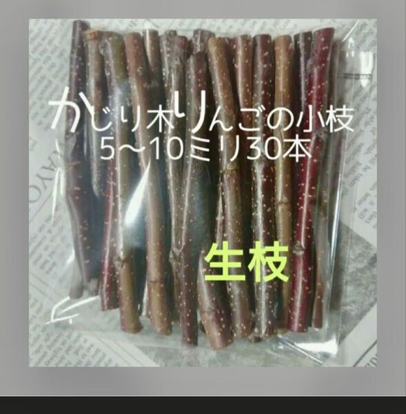 かじり木りんごの小枝30本