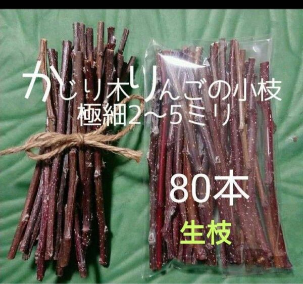 かじり木りんごの極細枝80本
