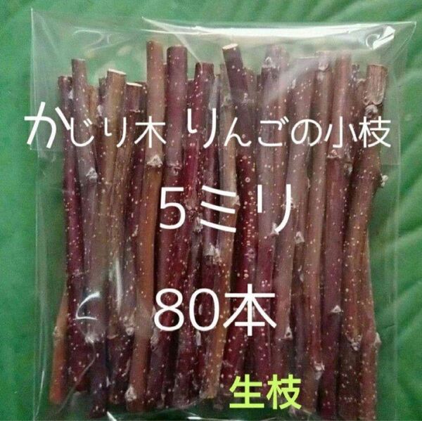 かじり木りんごの細枝80本
