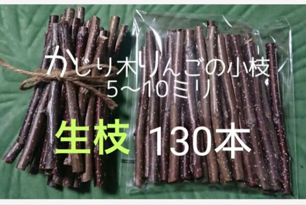 かじり木りんごの小枝130本