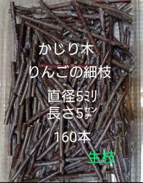 かじり木りんごの細枝160本 短いサイズ